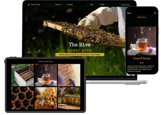 website preview