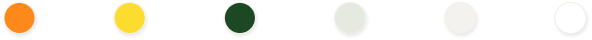 template colors